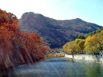 管家婆免费正版资起大全，中国车险市场分析